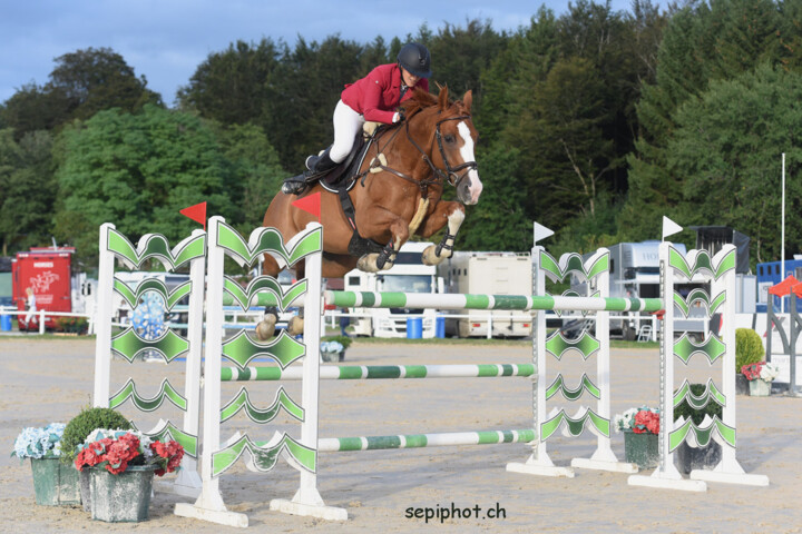 Schupbach_L-930475 TR Chalet 2019