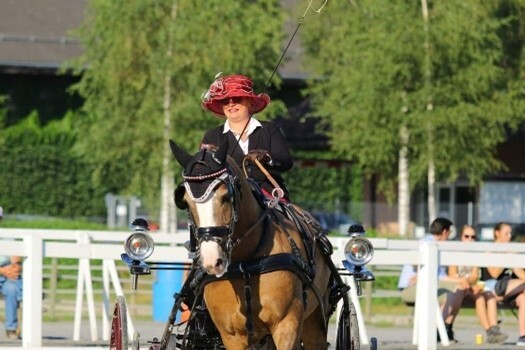 attelage 2022 marisa Roulin