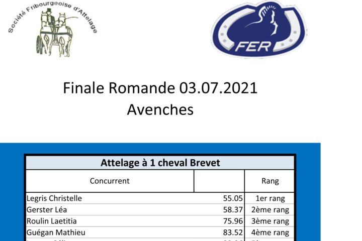 FRomande 2021 définitif.xlsx
