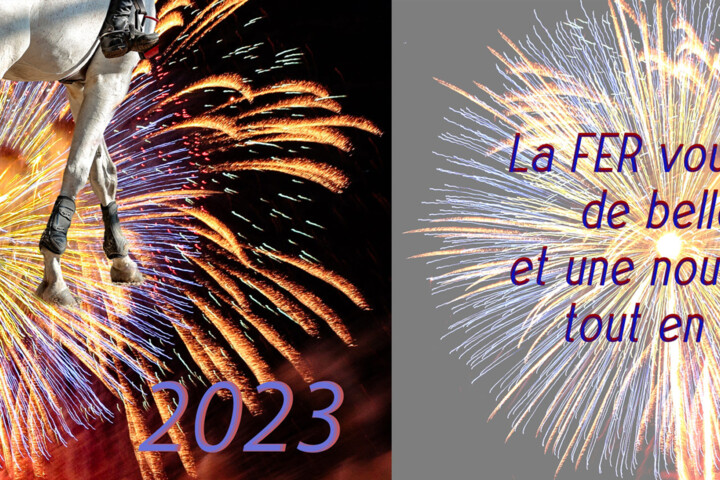 VoeuxFER2023Web