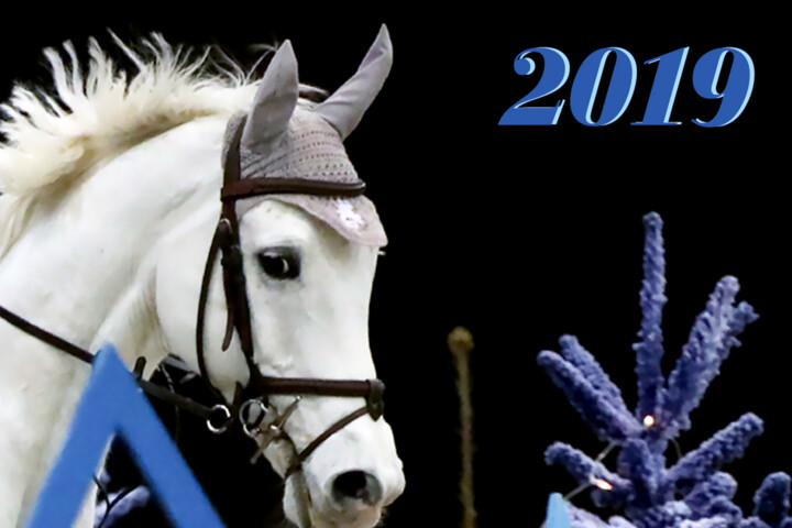 VoeuxFER2019