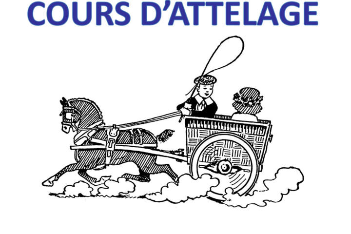 cours-attelage-Juniors-FER 2019