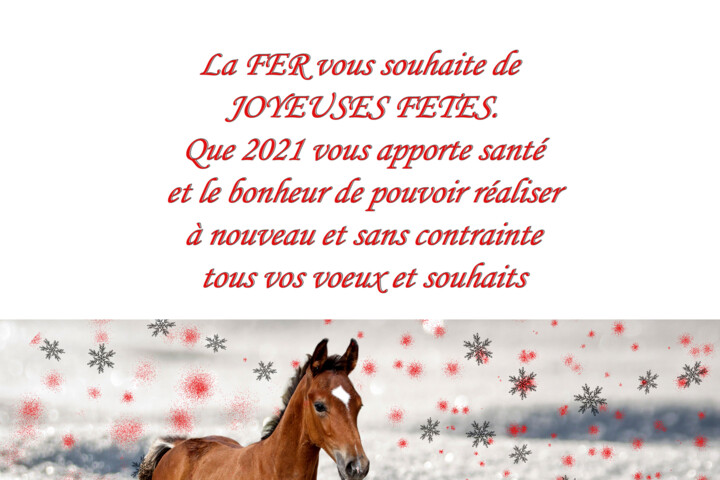 VoeuxFER2021Web