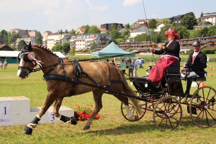 roulin ch suisse 2021