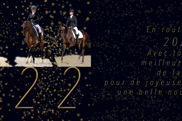 VoeuxFER2022Web