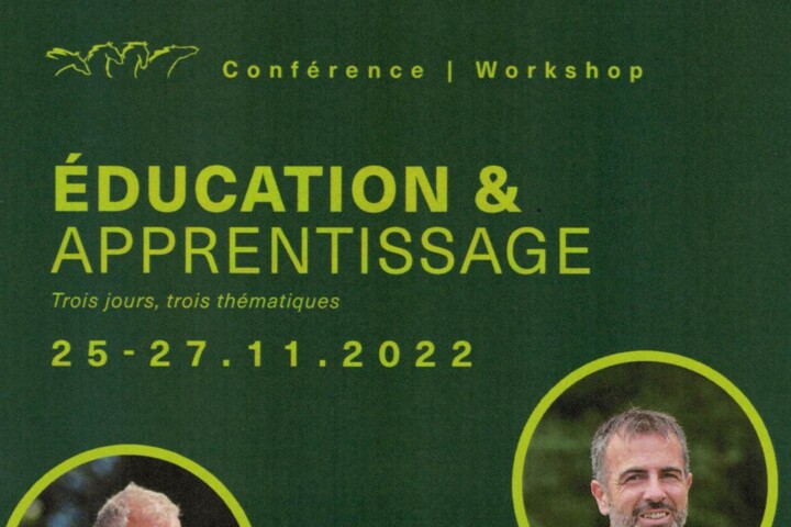Wookshop IENA 11.2022