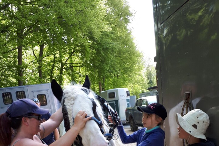 attelage cours juniors 2018 ambiance