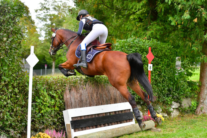 f Overney ch suisse J CC 2020
