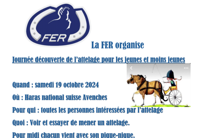 Journée d'attelage découvert 2024 Page 01 Snapshot 01