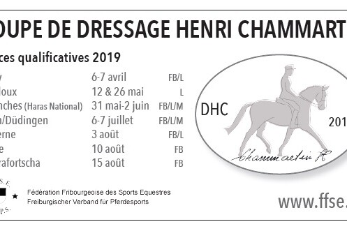 places qualificatives DHC 2019