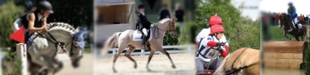 banner_disciplines_poney