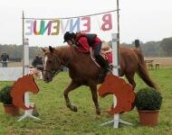poney_gymkhana