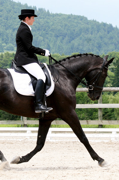 fer_dressage_2008_tavannes-(3)