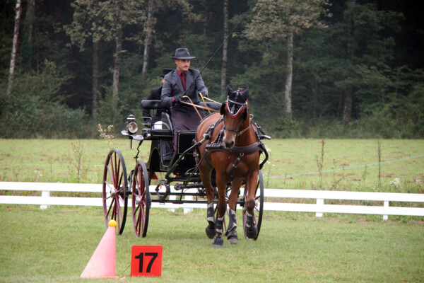 Attelage09