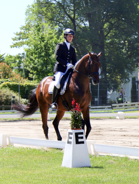 Dressage-09