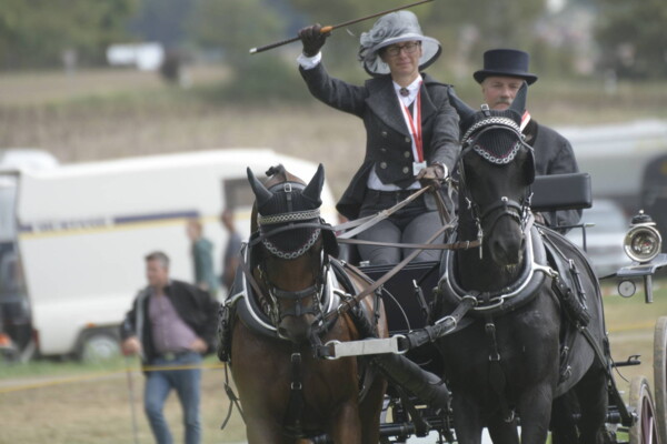 attelage Ch suisses 2018 Sandra Chardonnens M.Magnin