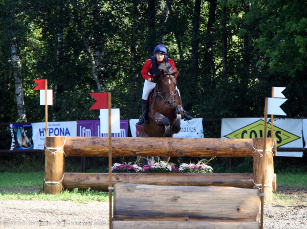 Cross-10