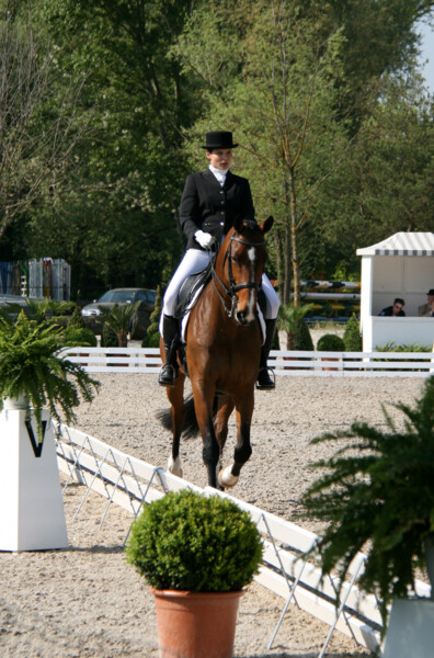 Dressage-10