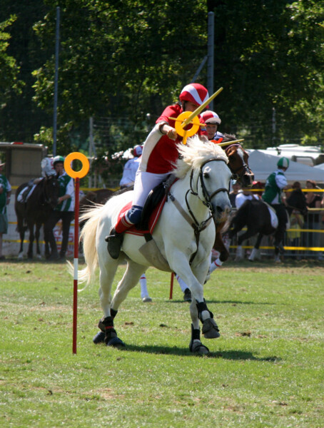 Poney-10