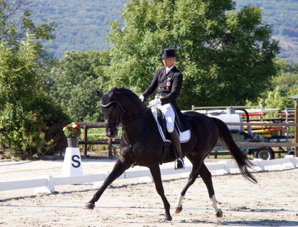 Dressage-01