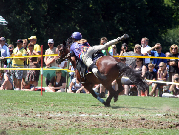 Poney-01