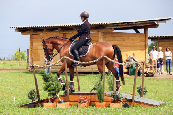 Trec-01