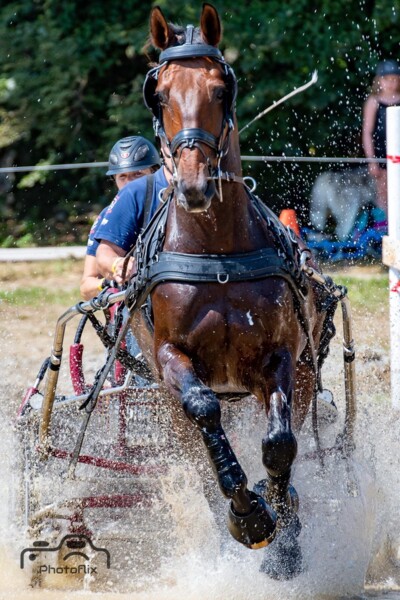 Barbey ch suisse 2021