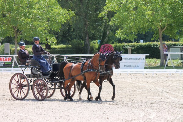 ch r attelage poney 2023 Chardonnens 2