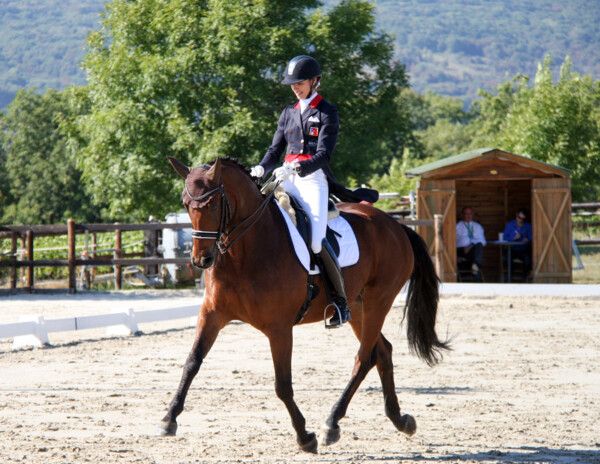 Dressage-03