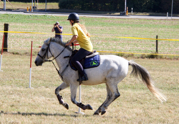 Poney-03