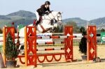 _tr2012_paillot