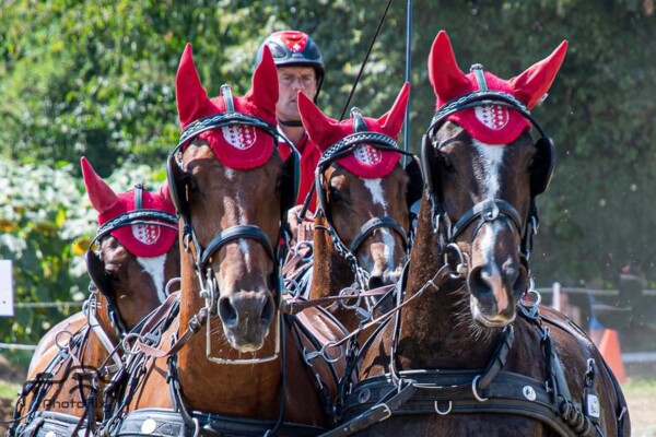 voutaz ch suisse 2021