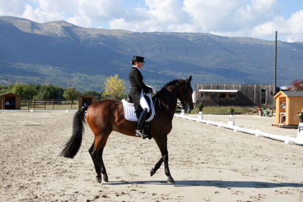 Dressage-05