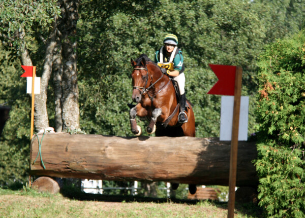 Cross-06