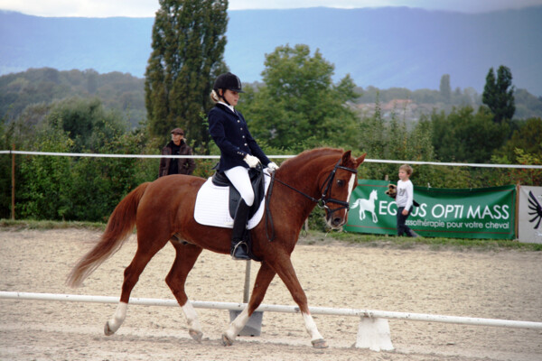Poney-06