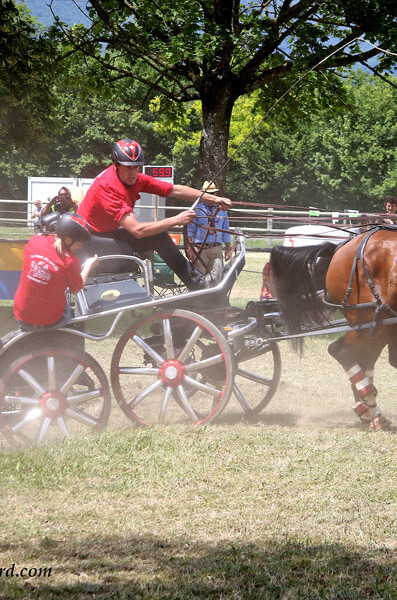 fer_attelage_voutaz-jerome_2015_signy