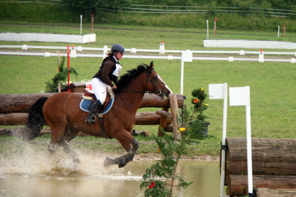 Cross-07
