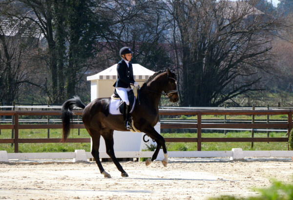 Dressage-08