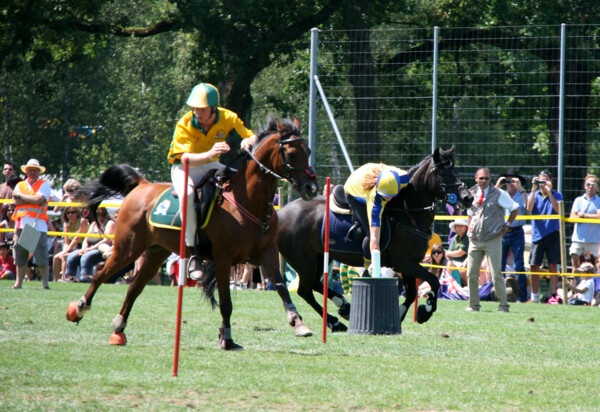 Poney-08